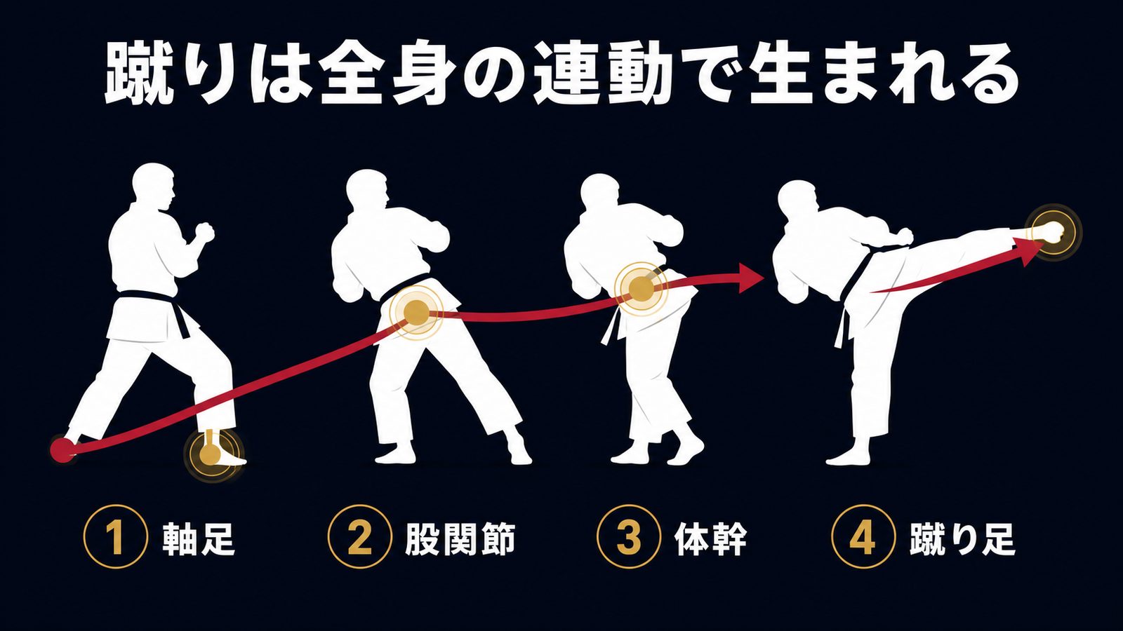 蹴りは全身の連動で生まれる(軸足→股関節→体幹→蹴り足)