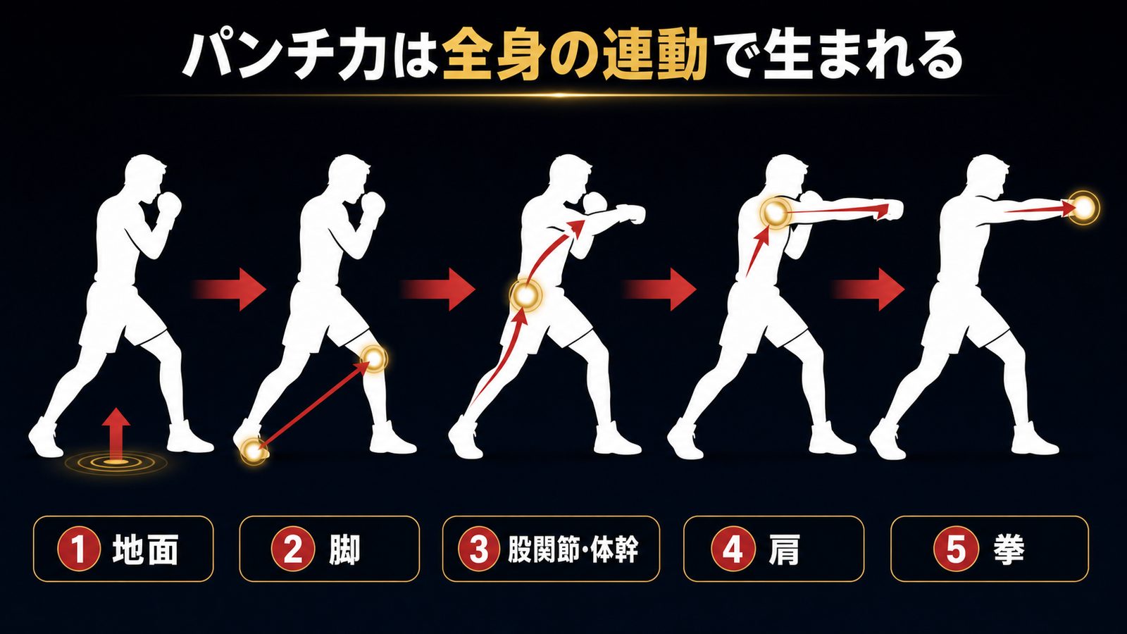 パンチ力は全身の連動で生まれる(地面→脚→股関節・体幹→肩→拳)